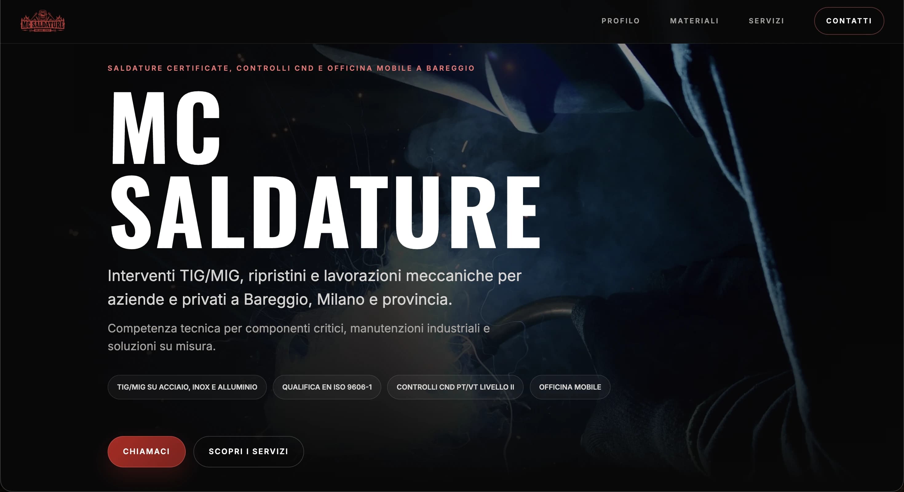 Homepage preview of the website